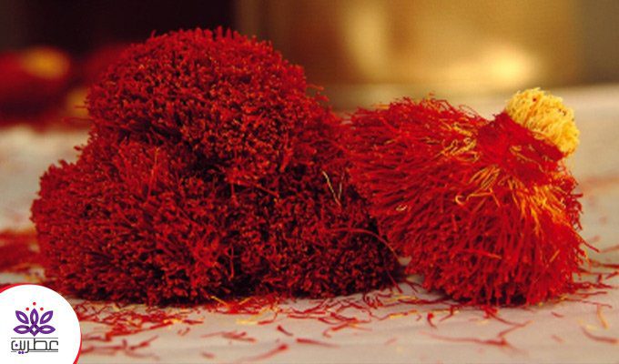 زعفران دخترپیچ چیست و چرا با این نام خوانده می‌شود؟